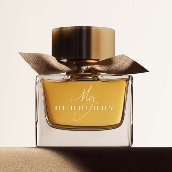My Burberry – Image 4