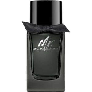 Mr Burberry