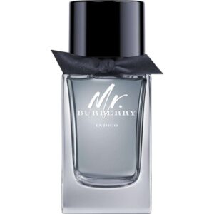 Mr Burberry Indigo